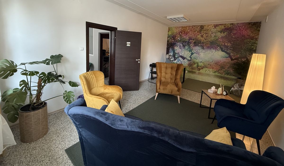 Gabinet terapeutyczny Pro-Mentis — fototapeta z drzewem, sofa i fotele